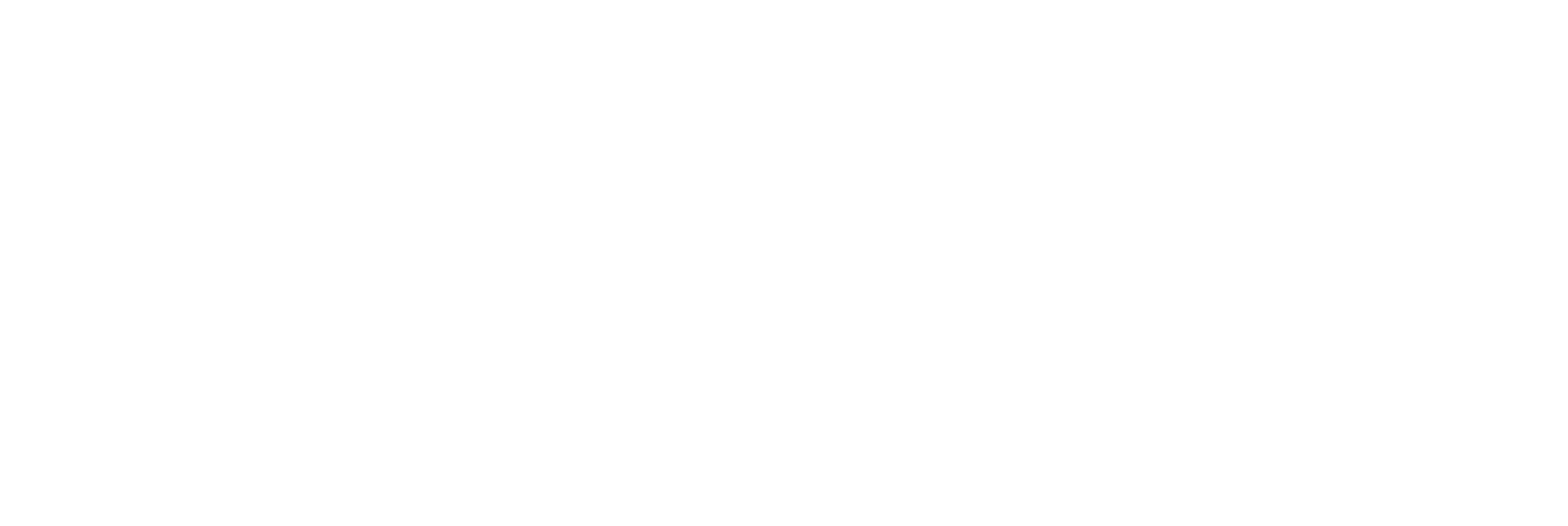 Allied Inspection Services Logo