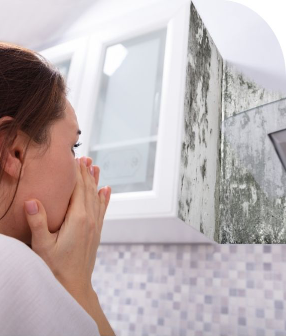 Mold Assessment | Allied Building Inspection Services