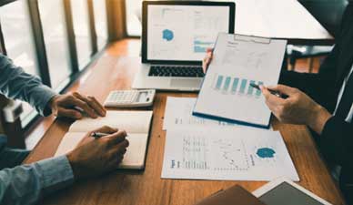 Milestone Structural Inspection (MSI)