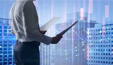 Milestone Structural Inspection (MSI)