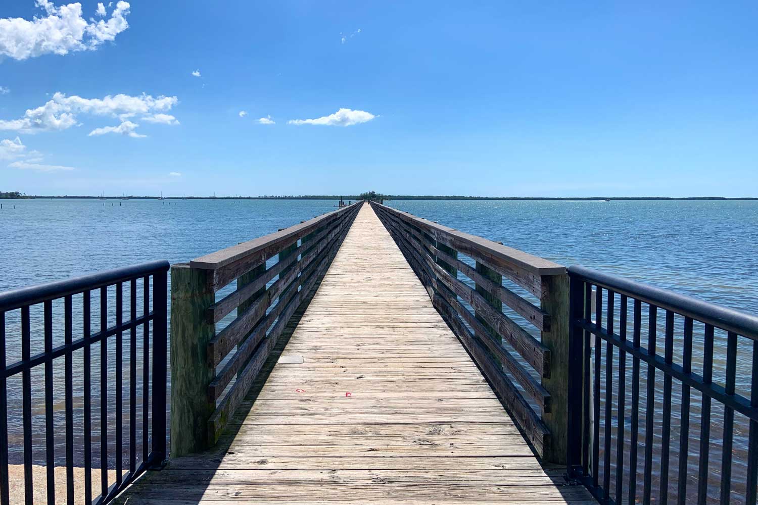 Seawall and Dock Inspections