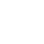 Luxury Property Inspections