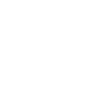 Seawall & Dock Inspections