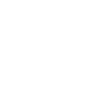 Structural Integrity Reserve Study